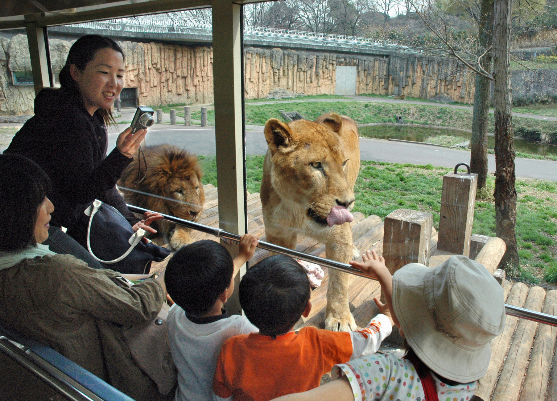 多摩動物公園 日本最大級のsns映え観光情報 スナップレイス