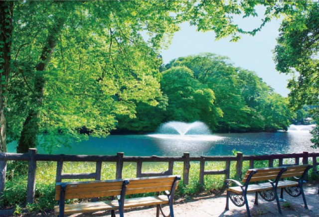 井の頭恩賜公園