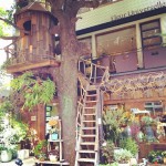 LesGrandsArbres（レ・グラン・ザルブル）