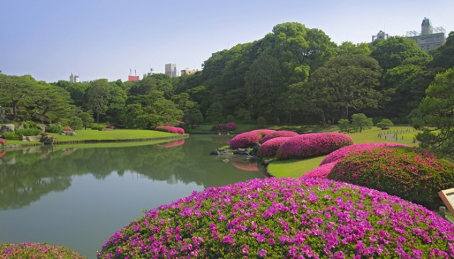 六義園(駒込駅)
