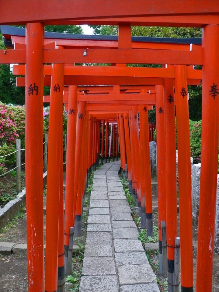 乙女稲荷神社