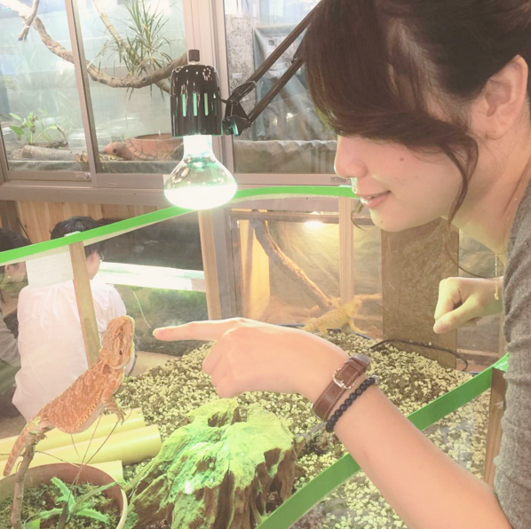 横浜亜熱帯茶館