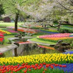 国営昭和記念公園
