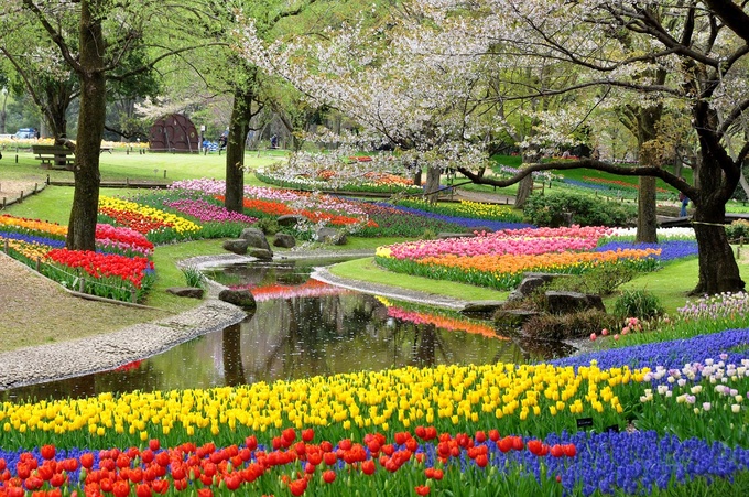 国営昭和記念公園