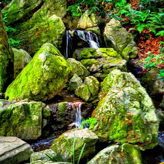 池田山公園