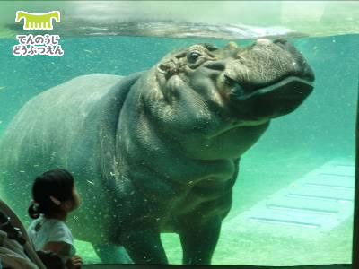 天王寺動物園