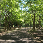代々木公園