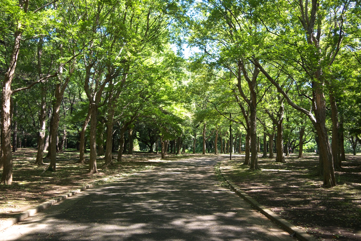 代々木公園