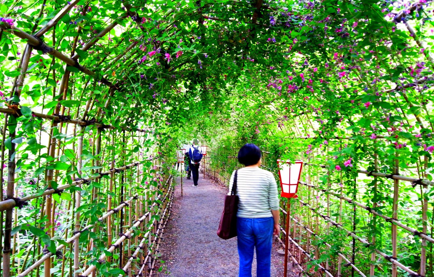 向島百花園