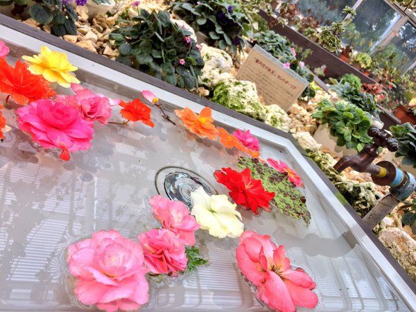 福岡市動植物園