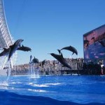 名古屋港水族館