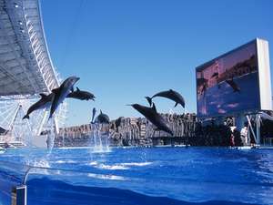 名古屋港水族館