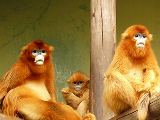 熊本市動植物園 日本最大級のsns映え観光情報 スナップレイス