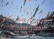 杖立温泉