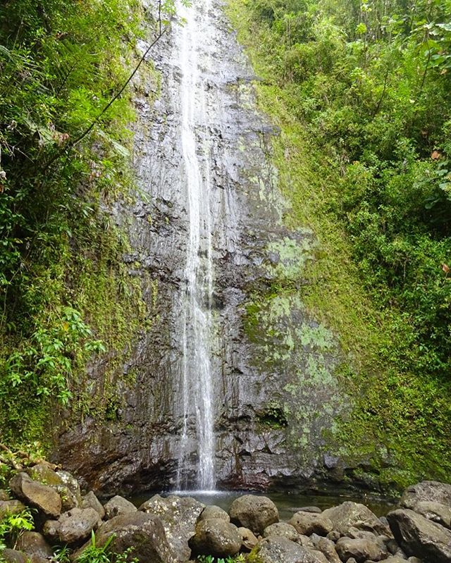 マノアの滝