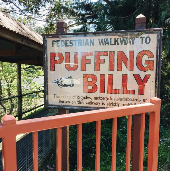 パッフィンビリー鉄道 / Puffing Billy Railway