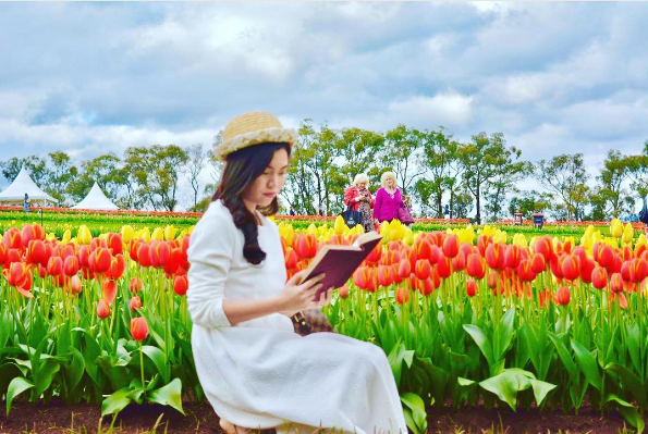 テッセラー・チューリップ・フェスティバル(Tesselaar Tulip Festival)