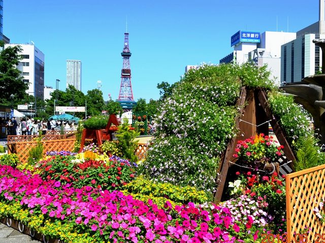 大通公園
