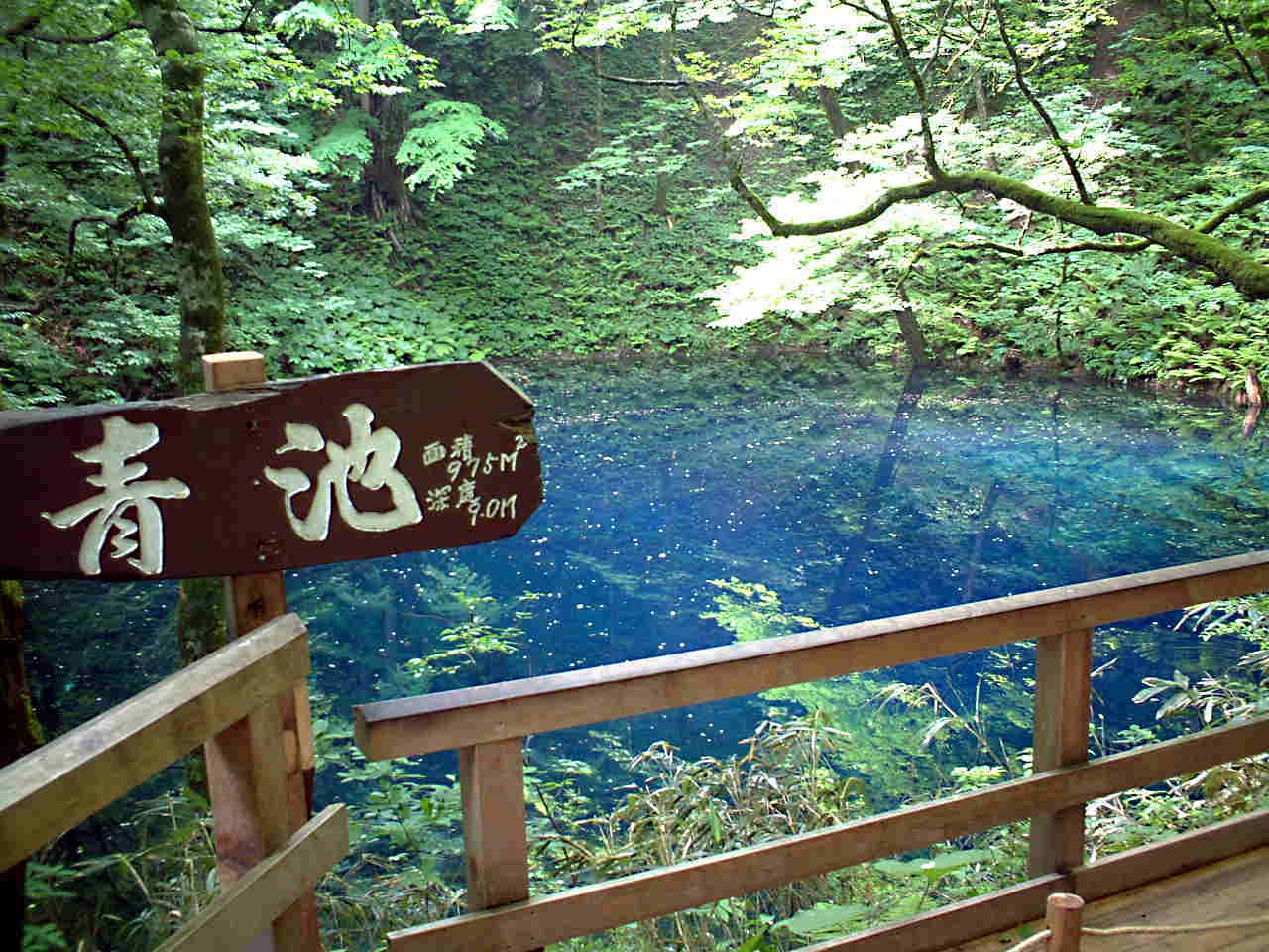 白神山地 十二湖 青池