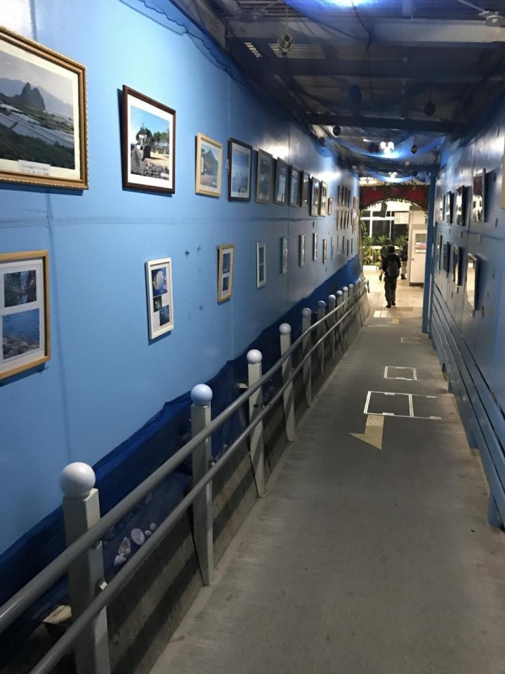 指宿駅 竜宮写真館