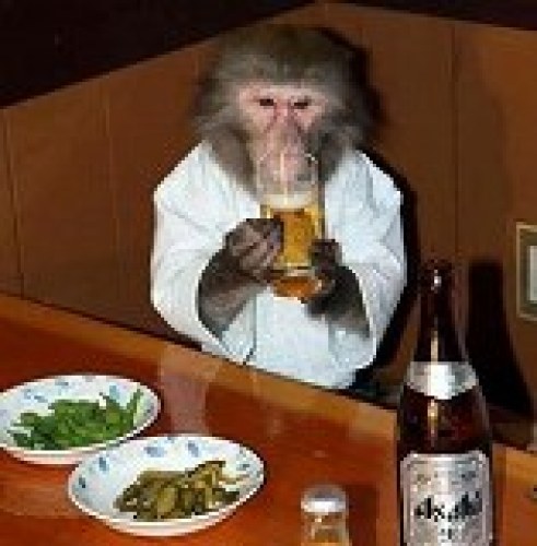 居酒屋かやぶき