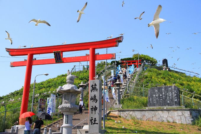 蕪島