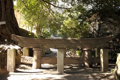 黒神埋没鳥居