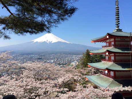 新倉山浅間公園