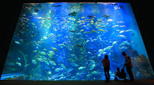 男鹿水族館GAO
