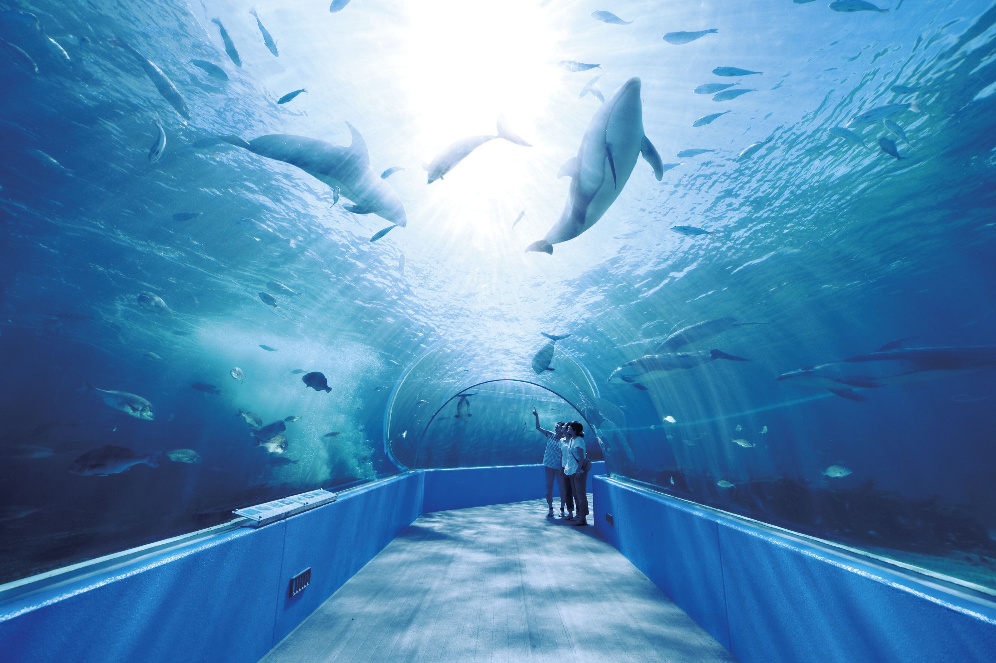 のとじま水族館