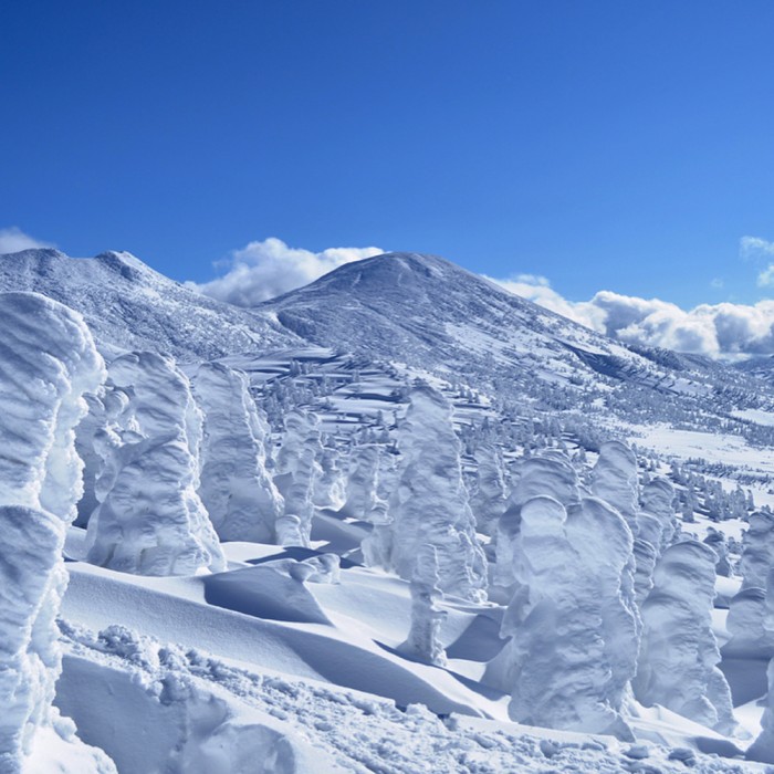 八甲田山