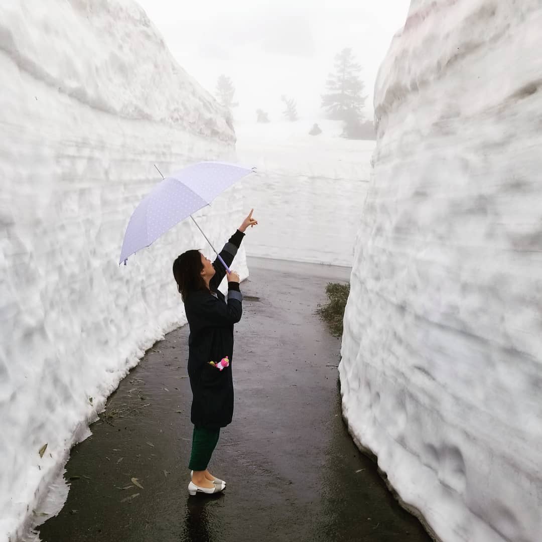 八幡平アスピーテライン