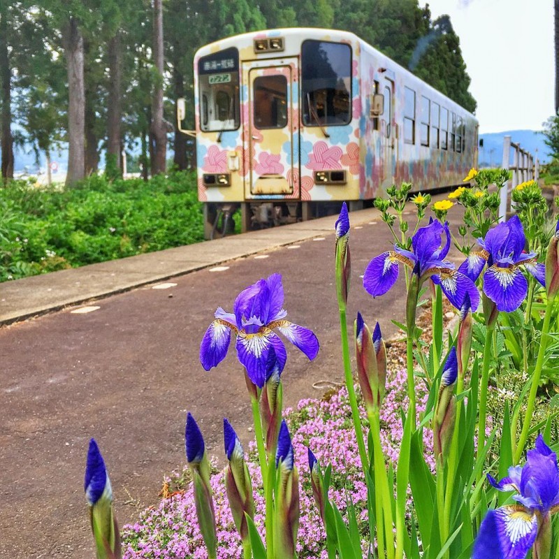 フラワー長井線