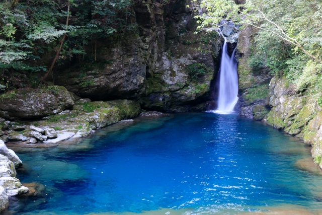 高知観光の外せない定番スポット15選  日本最大級のSNS映え観光情報 