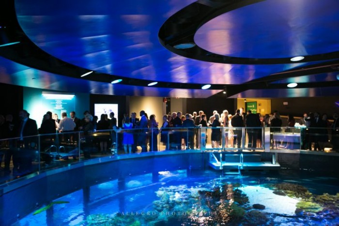 ニューイングランド水族館　New England Aquarium