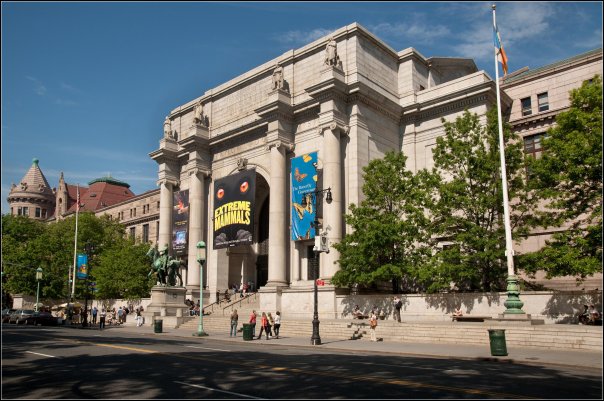 アメリカ自然史博物館　American Museum of Natural History