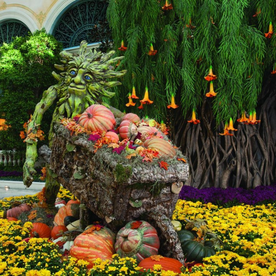 ベラージオ植物園