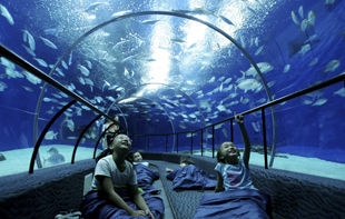 Shanghai Ocean Aquarium（上海海洋水族館）