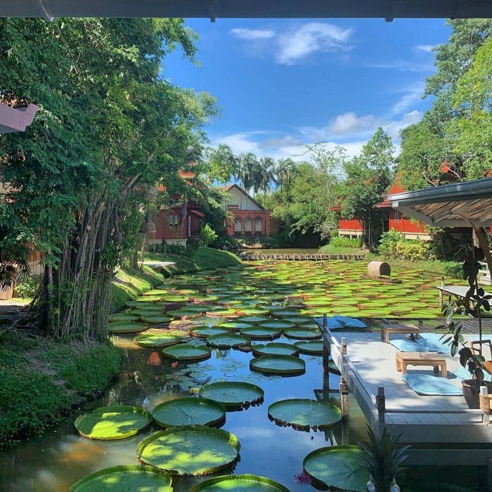 Red Lotus Floating Market（レッドロータス水上マーケット）