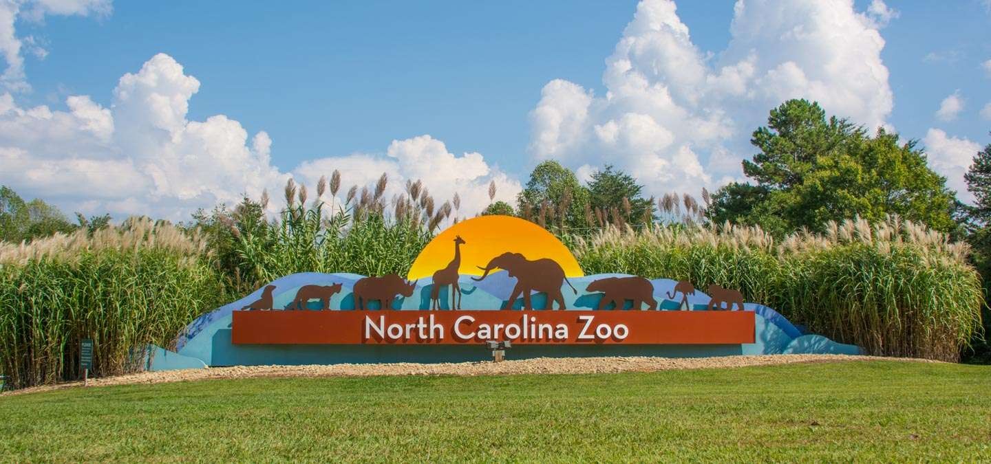 North Carolina Zoo（ノースカロライナ動物園）