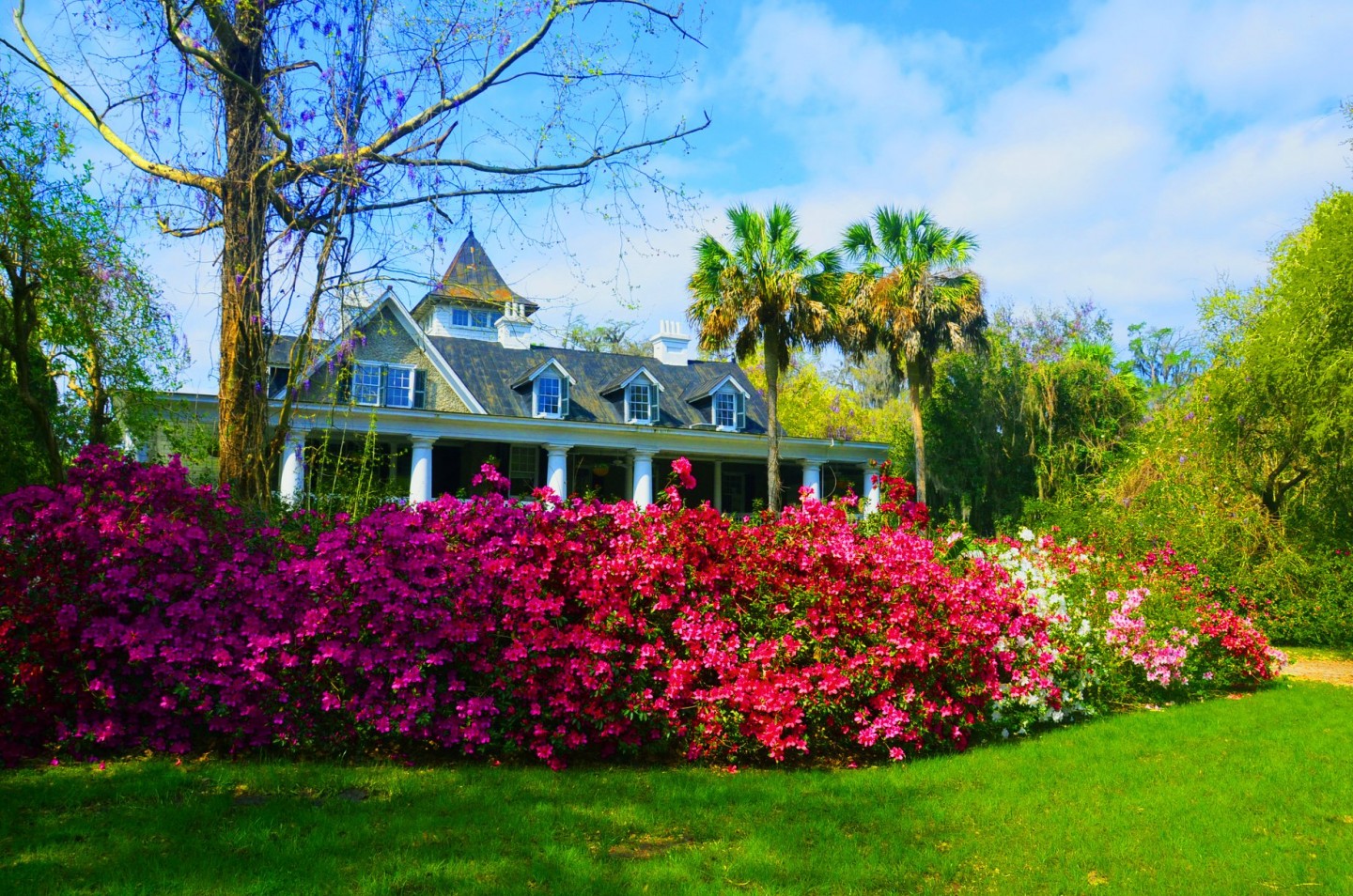 Magnolia Plantation and Gardens（マグノリア・プランテーション・アンド・ガーデンズ）