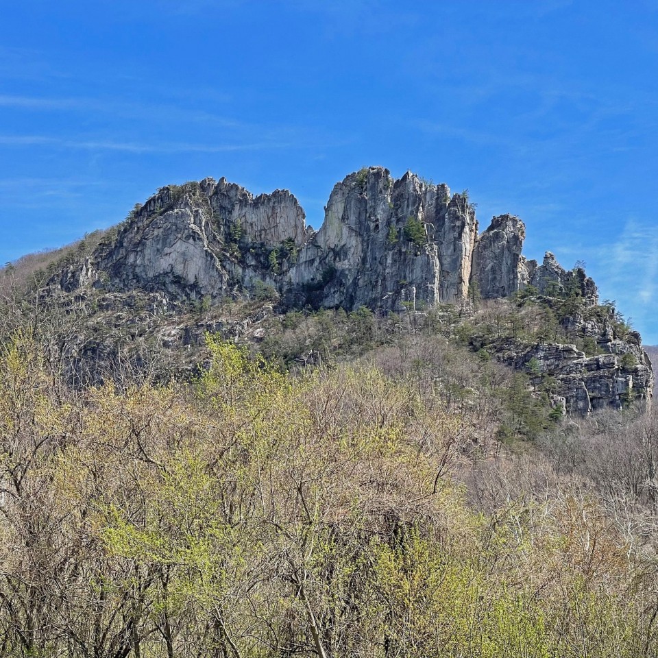 Seneca Rocks（セネカロックス）