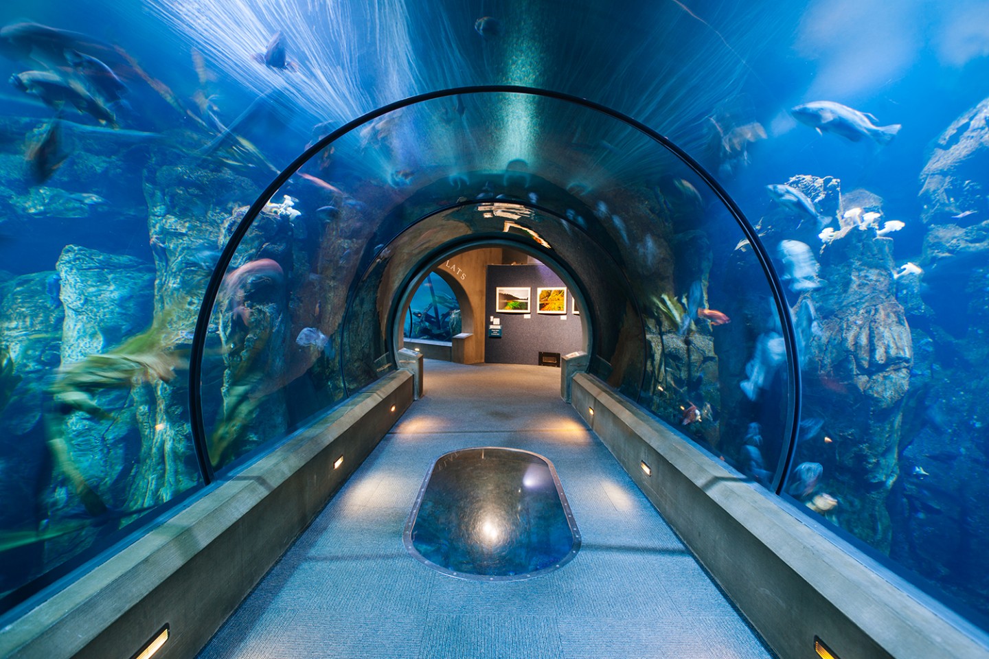 Oregon Coast Aquarium（オレゴンコースト水族館）