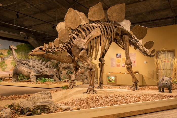 Glendive Dinosaur and Fossil Museum（グレンダイブ恐竜&化石博物館）