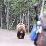 Person-and-approaching-bear-photo-copyright-Jake-Bortsch-688-px