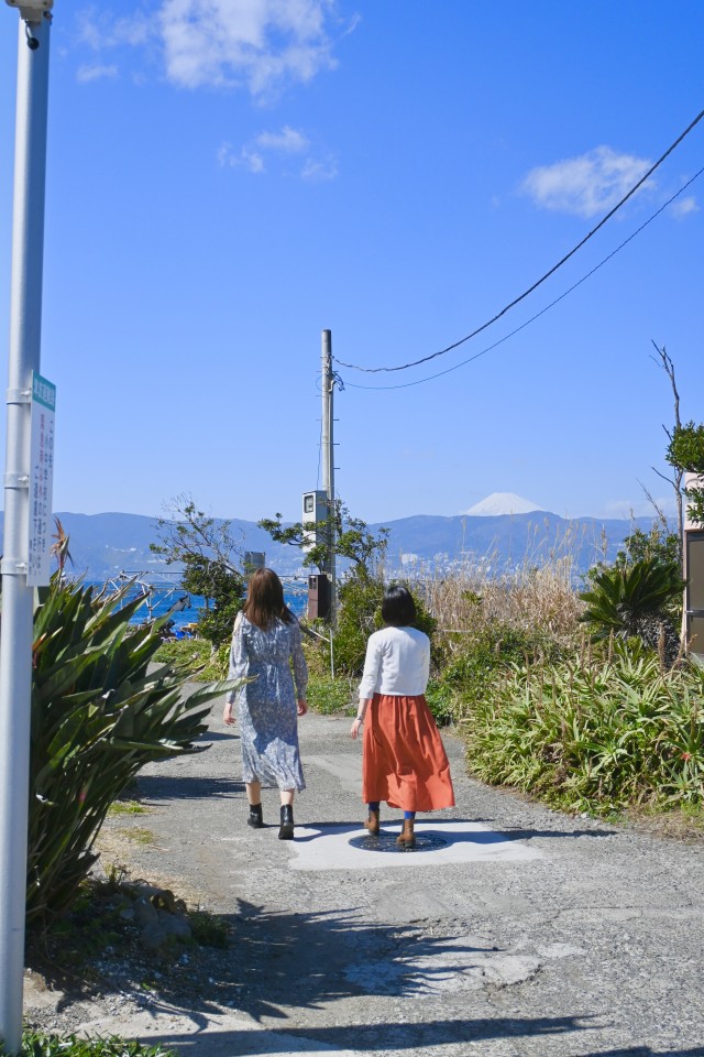 富士山を望む散歩道