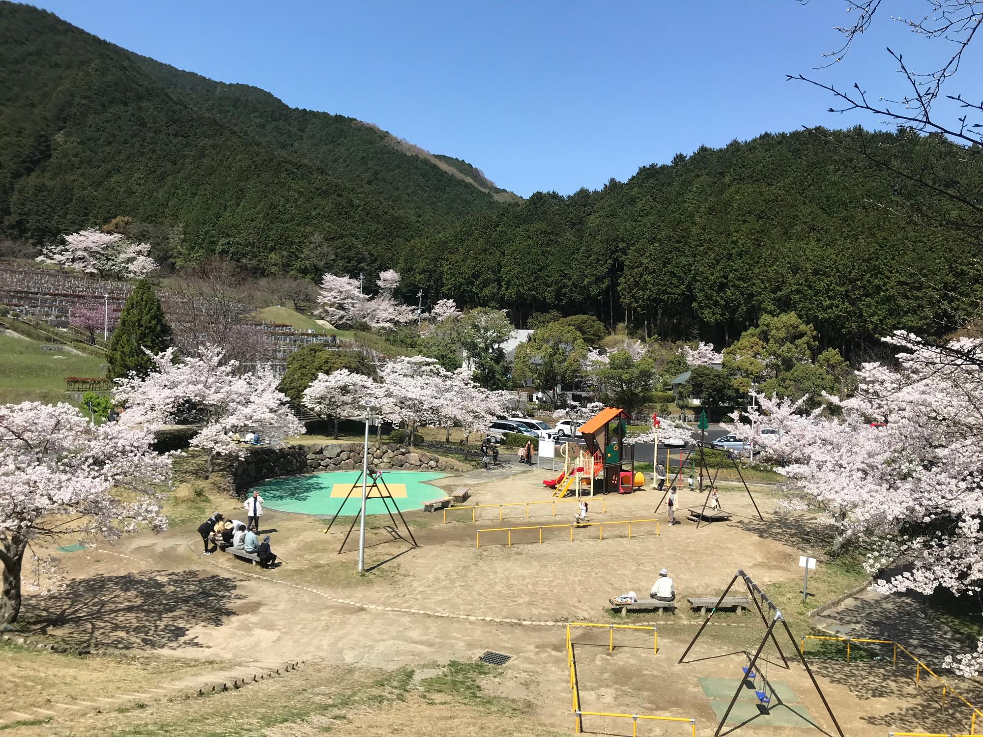 葛城山麓公園