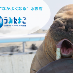 大分マリーンパレス水族館 うみたまご