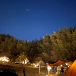CAMP LOVE